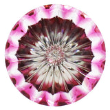 Edokiriko Cufflinks by Shuseki These Cufflinks are hand made in Japan from using Crystal Glass and high-quality sturdy rhodium. The cufflinks will come in a beautiful wooden cufflink box.