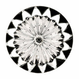 Edo Kiriko Kiku Black Lapel Pin